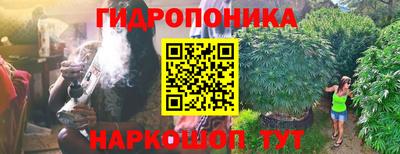 гашик Заволжье