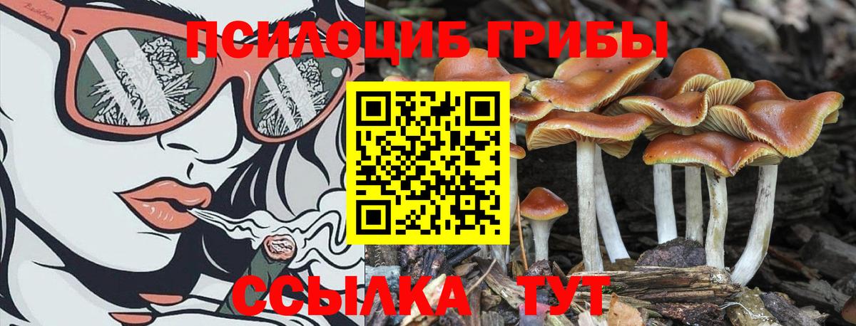 Псилоцибиновые грибы MAGIC MUSHROOMS  Вход с VPN  Лесосибирск  Галлюциногенные грибы Magic Shrooms 
